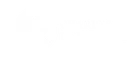 Karlova Univerzita