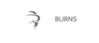 VR Burns